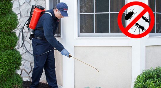 Bayat Hamam Böceği İlaçlama böcek ilaçlama ve haşere kontrolü — ilaclama-tr.com